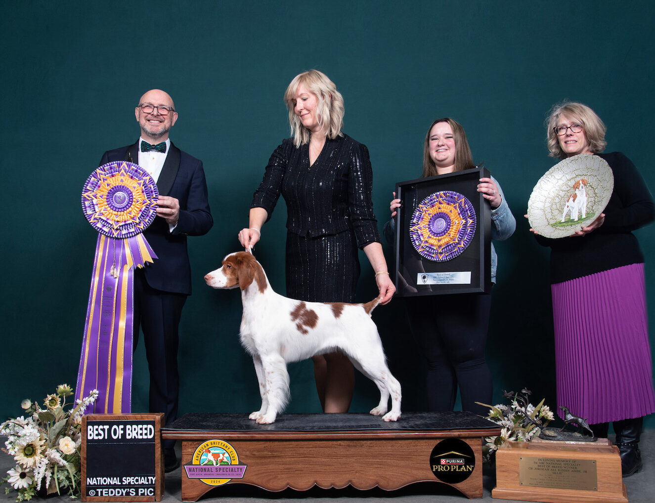 2024 NSS GCH CH Fernhill's Rocket To The Sun JH 2 2023 Brigadier Shamrock All Silver Stars
