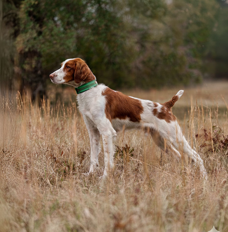 2025 NAFC RAFC AK’s Line of Credit