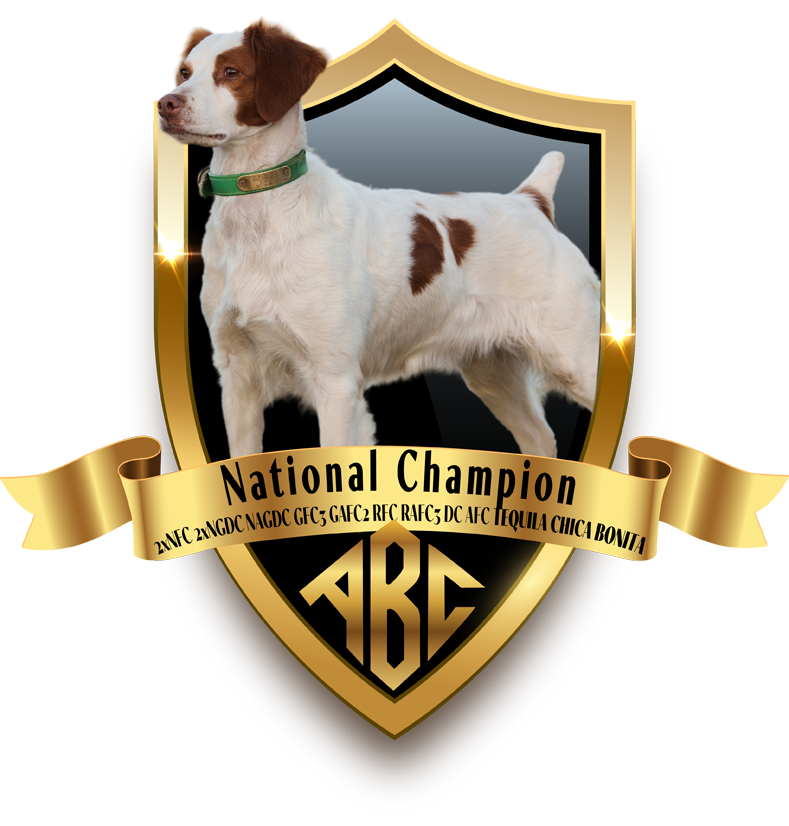 2xNFC 2xNGDC NAGDC GFC3 GAFC2 RFC RAFC3 DC AFC TEQUILA CHICA BONITA 2025 National Champion