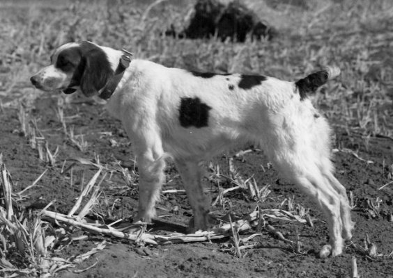 2023 Bamajamas Willys Sassie Sadie