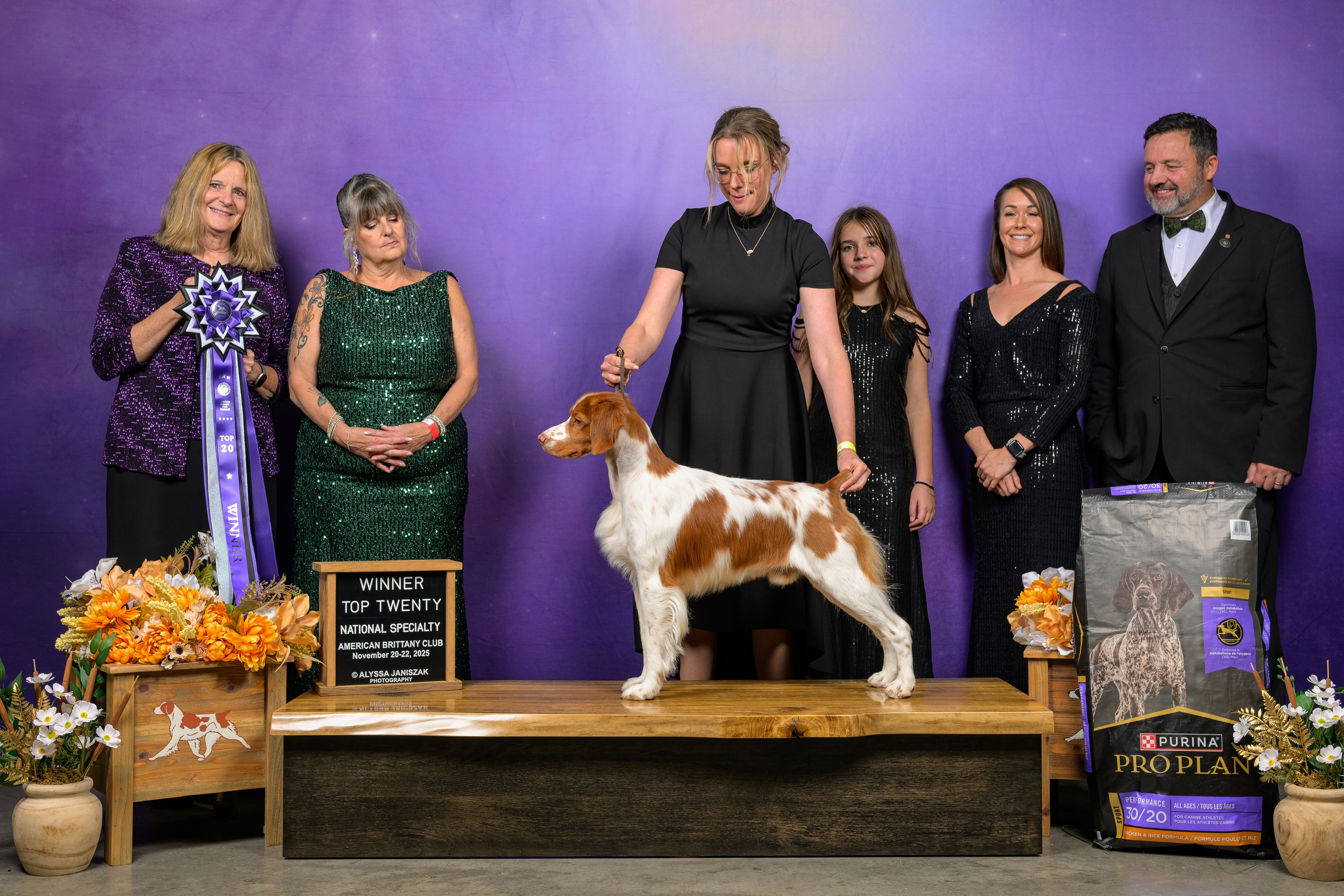 2025 Show Dog of the Year — GCHG Trio-Schoenhunds Young Scrappy and Hungry