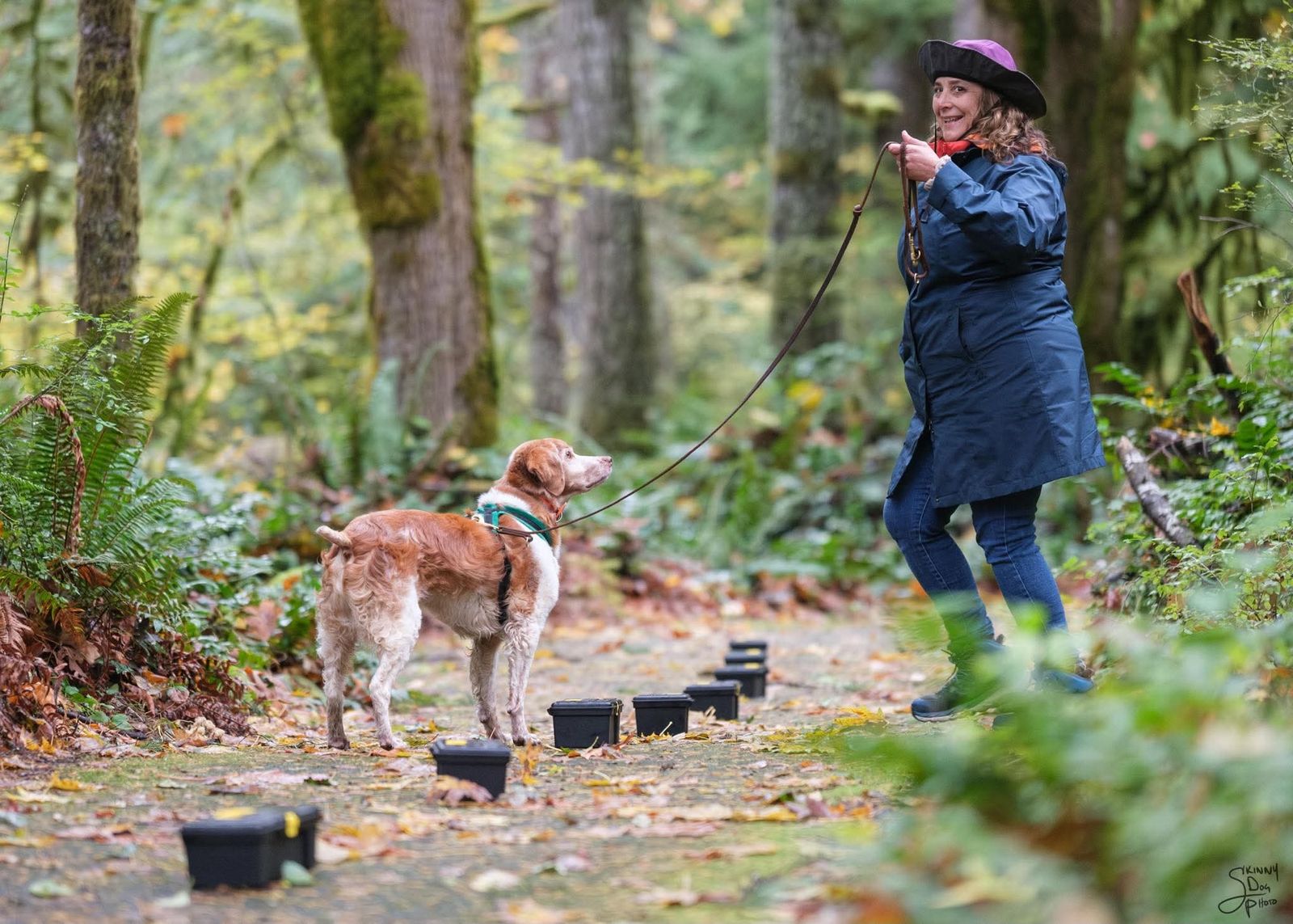 Erica Wells with a Brittany during a scent work search in a wooded setting.